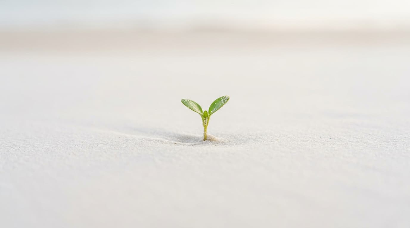 8-week stress shedding recovery tracking timeline